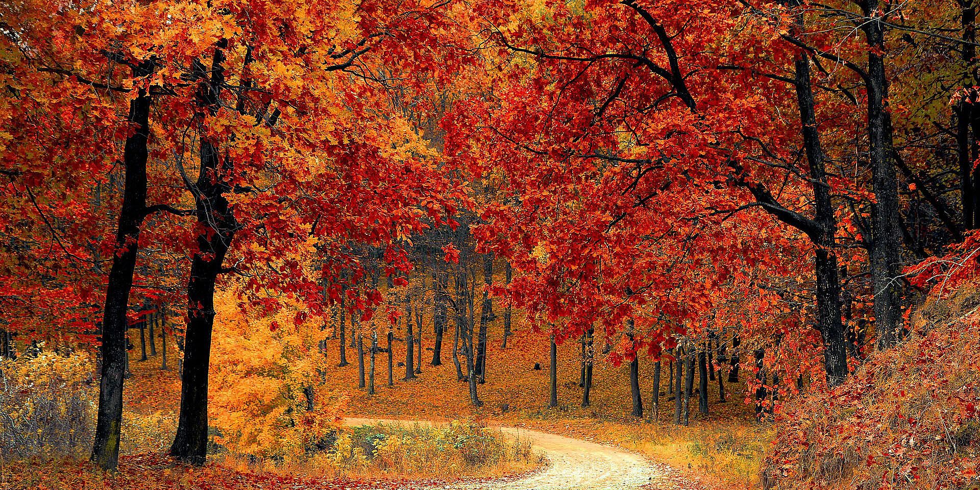 Herbst